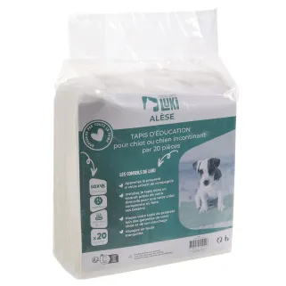 20 tapis éducatifs absorbants pour chien - 60x45 cm