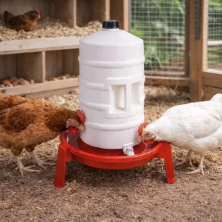 Abreuvoir 20L Novital - Pratique pour volailles