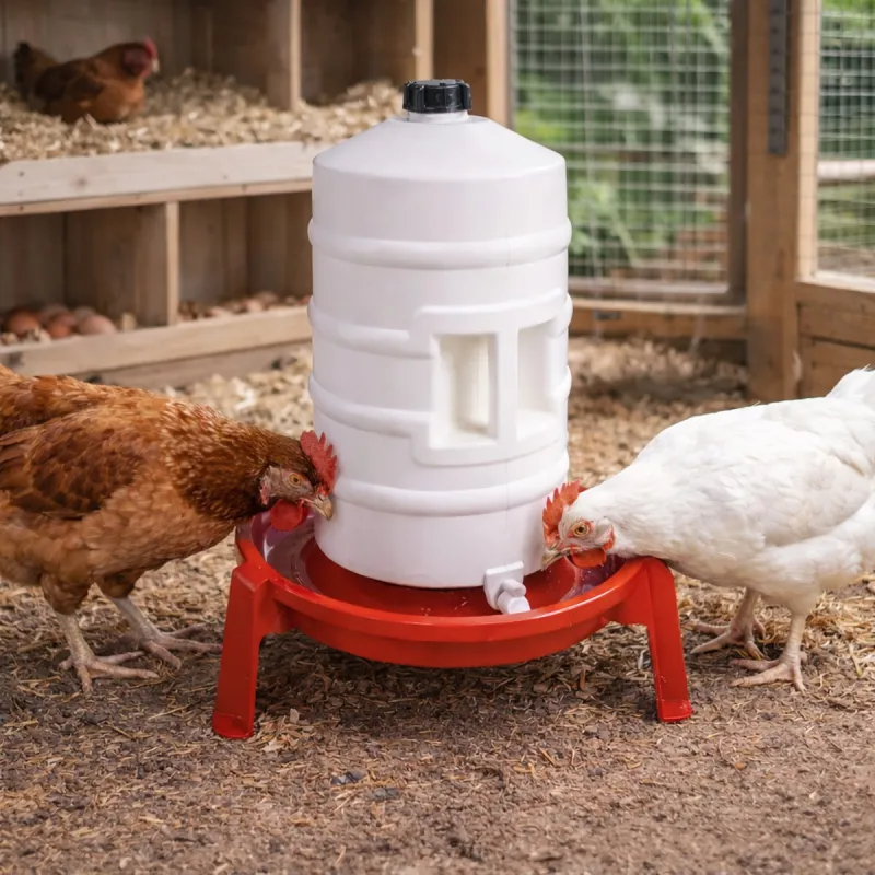 Abreuvoir 20L Novital - Pratique pour volailles