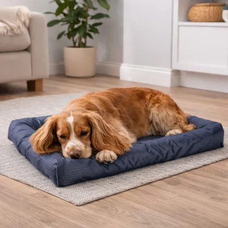 Matelas chien imperméable bleu 91x60cm antidérapant