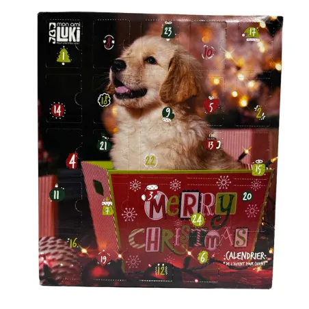 Calendrier de l'Avent animaux - 24 surprises festives
