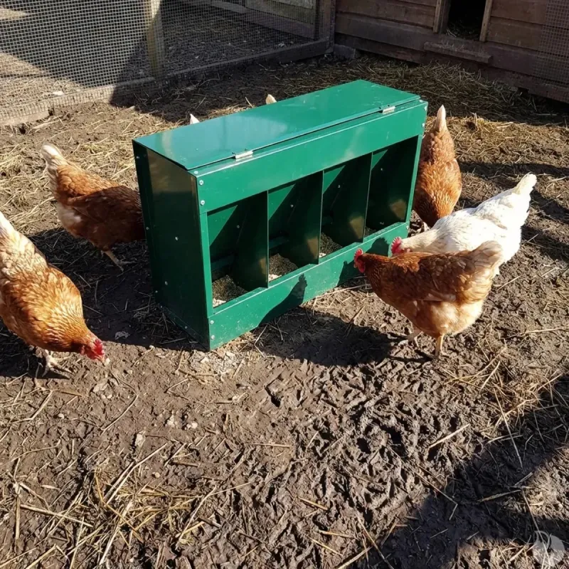 Mangeoire 4 cases 20 kg verte thermolaquée 46x17x40 cm