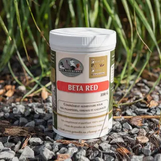 Beta Red 250g - Betterave rouge pour oiseaux et volailles
