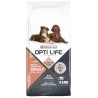 Croquettes saumon chien adulte peau sensible 12,5kg