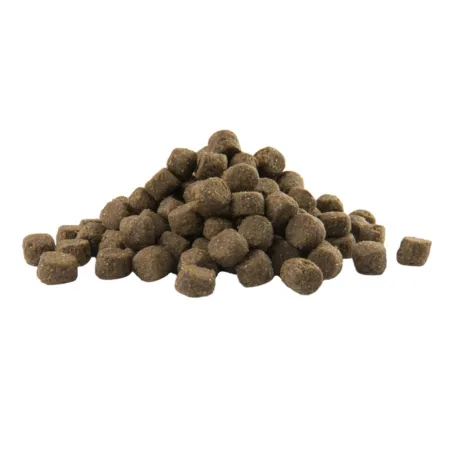 Croquettes saumon chien adulte peau sensible 12,5kg