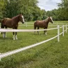 Ruban électrifié 20mm blanc/marron - 200m pour clôture cheval