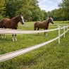 Ruban électrifié 40mm blanc/marron - 200m - Clôture chevaux