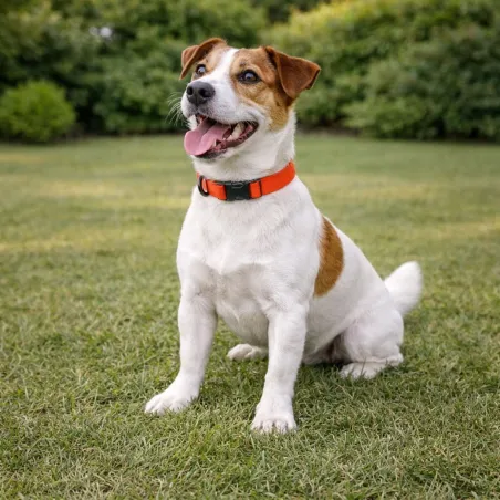 Collier polyester orange ajustable 45 cm Stepland