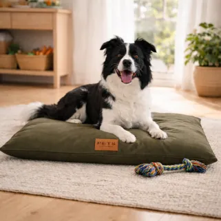 Coussin confort toile Oxford 85x65 cm pour animaux