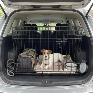 Cage métallique avec plateau 122x75x82 cm pour élevage