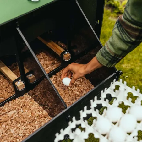 Poulailler écologique 5 à 9 poules en plastique recyclé