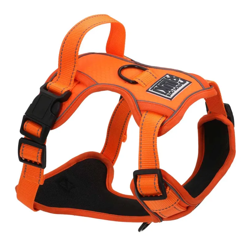 Harnais sécurité orange haute visibilité pour chien