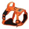 Harnais sécurité orange haute visibilité pour chien