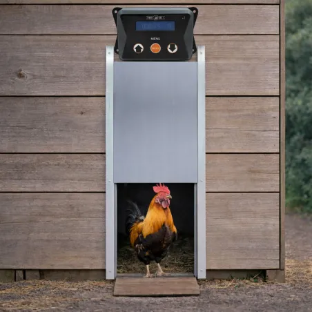 Porte automatique Breed Safe V2 pour poulailler 22x33 cm