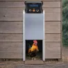 Porte automatique Breed Safe V2 pour poulailler 22x33 cm