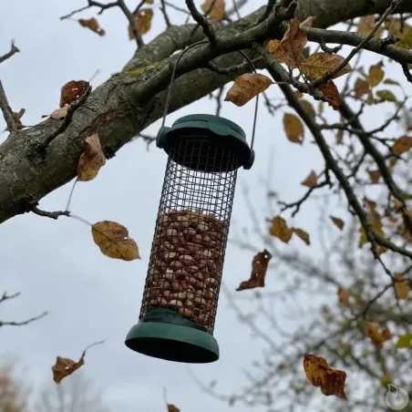 Distributeur de graines métal Ø9x20cm pour oiseaux