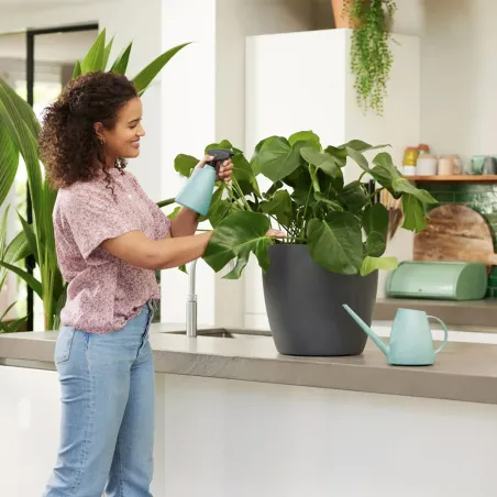 Pulvérisateur plantes 0,7L Elho - Arrosage précis