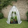 Dôme serre hivernage transparent pour plantes fragiles