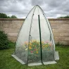 Dôme serre hivernage transparent pour plantes fragiles