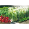 Gaine forçage jaune anti-UV pour tomates et légumes