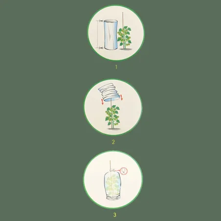 Gaine forçage jaune anti-UV pour tomates et légumes