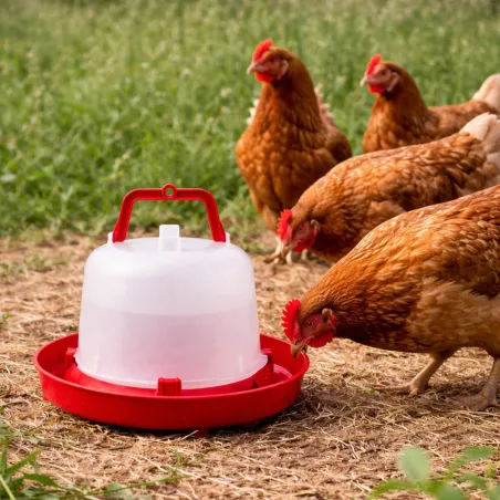 Abreuvoir premium 5L pour volailles - Robuste et pratique