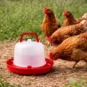 Abreuvoir premium 5L pour volailles - Robuste et pratique