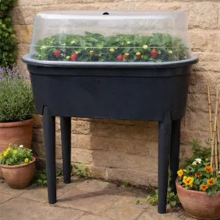 Mini serre sur pieds noire 77x40x83 cm - culture facile