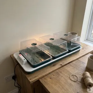 Serre chauffante BIG 3 auto - semis et boutures