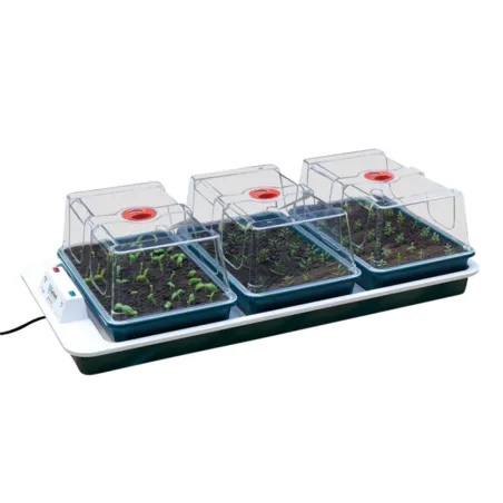 Serre chauffante BIG 3 auto - semis et boutures