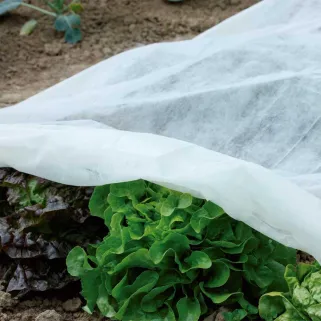 Voile polypropylène 1,5x5 m - Protection durable extérieur