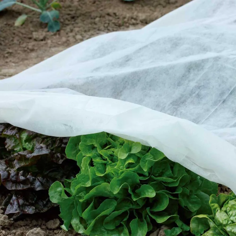 Voile polypropylène 1,5x5 m - Protection durable extérieur