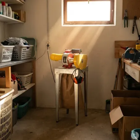 Disques plumeuse Senesi - Jeu de 7 pour Junior/Zippy