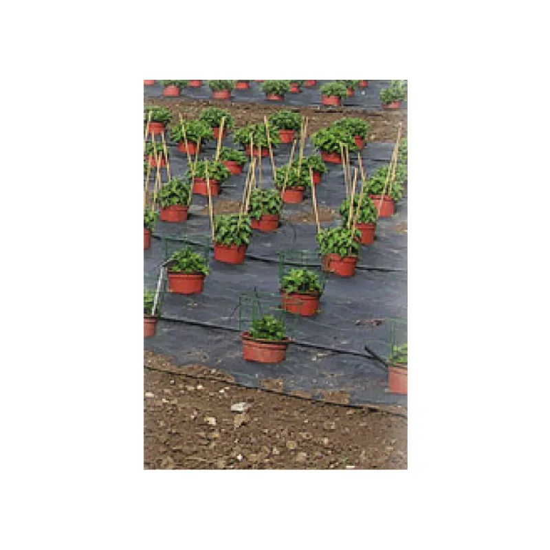 Toile paillage perforée 1,30m - fruits & légumes (au mètre)