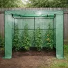 Serre tomates 79x200x169 cm - Protection légumes jardin