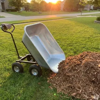 Brouette basculante 75L - Transport facile et robuste