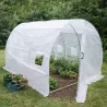 Serre potagère 6m² pour cultures maraîchères et jardin