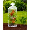 Housses pour tomates - Lot de 2 - Ø40x130 cm