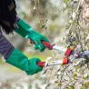 Gants anti-épineux Black Fox - Protection jardin robuste
