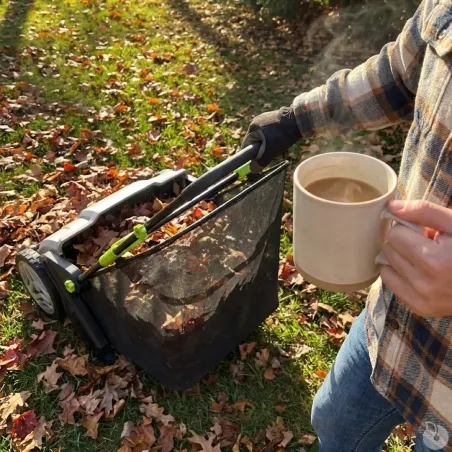 Ramasse-feuilles pro 3 brosses 53cm - bac 100L réglable