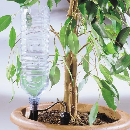 Kit goutte-à-goutte bouteille - Arrosage éco et précis