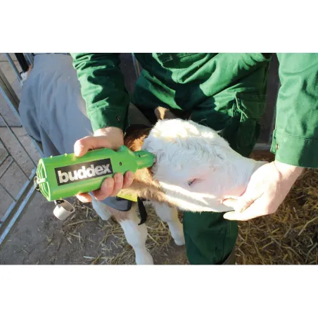 Écornoir Buddex sans fil - Précis et ergonomique