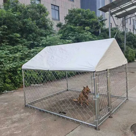 Enclos extérieur galvanisé avec toile imperméable 2x2x1,6 m