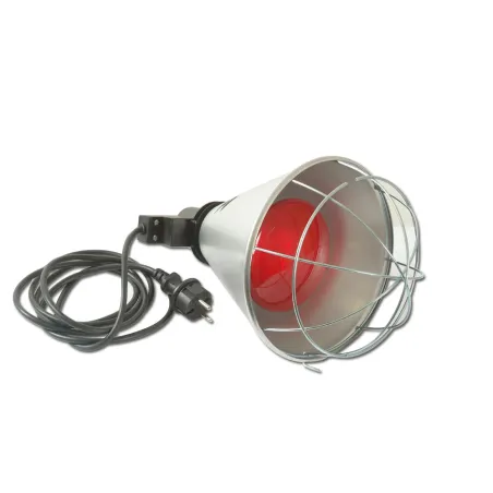 Kit complet pour démarrer l'élevage de poussins