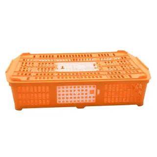 Cage transport volailles 67x45x15 cm - Confort & Sécurité