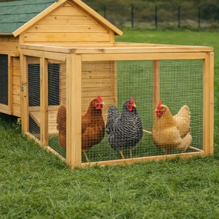 Enclos bois sécurisé pour poules 80x75x60 cm