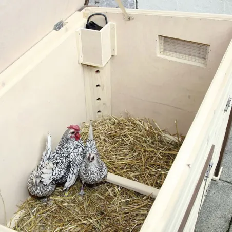 Poulailler isolé chauffant 3-4 poules avec thermostat