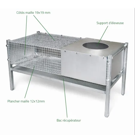 Cage éleveuse pour 50 poussins ou cailles 100x60x50 cm