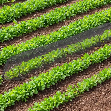 Tunnel maillé 3m pour protéger votre potager
