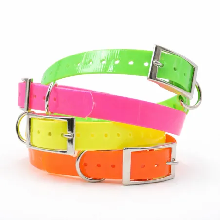 Collier fluo BIOGOLD pour chien - 4 couleurs résistantes